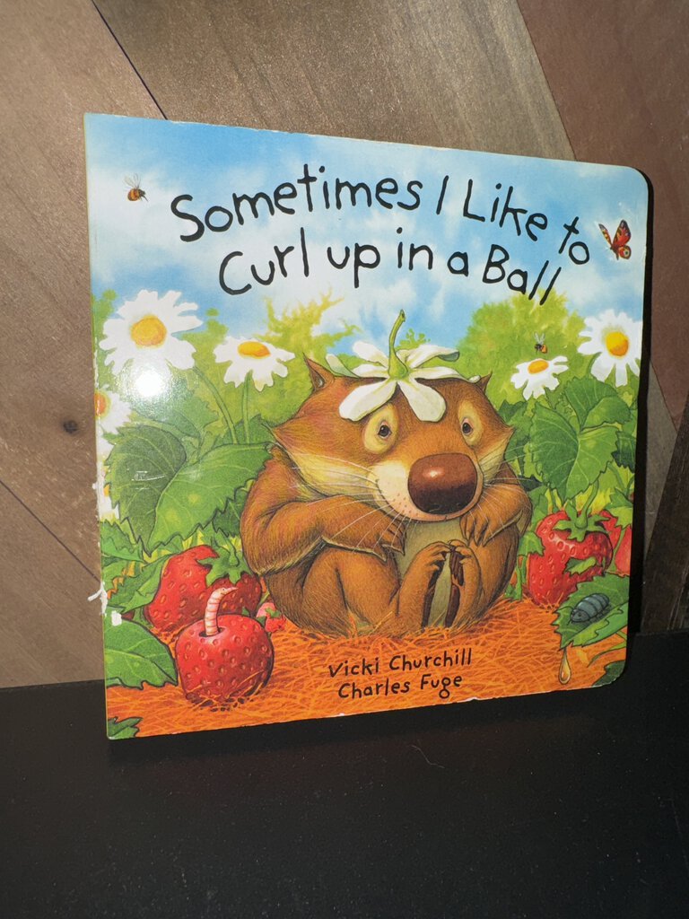 Sometimes I Like To Curl Up In a Ball Book