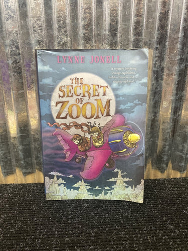 The Secret of Zoom Book