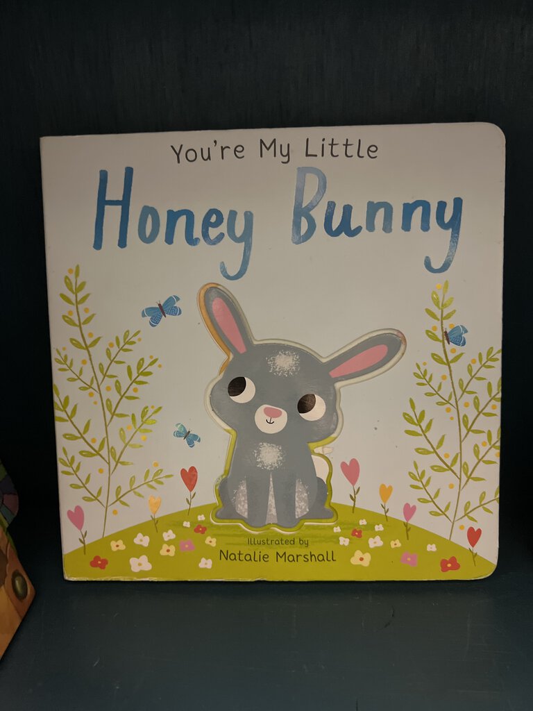 You're My Little Honey Bunny Book