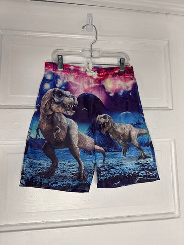 Boys Swim Trunks 6T