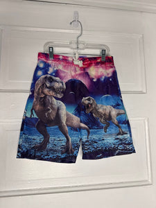 Boys Swim Trunks 6T