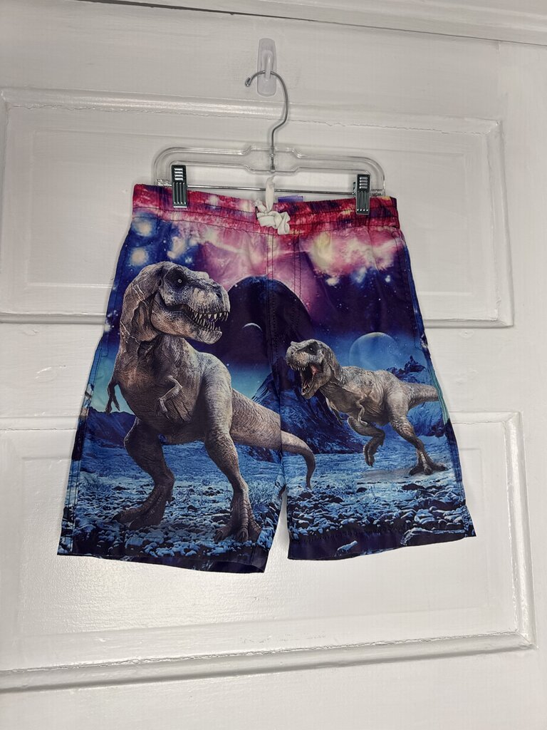Boys Swim Trunks 6T