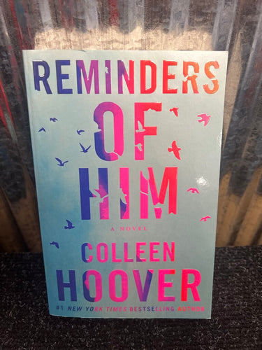 Reminders of Him Book