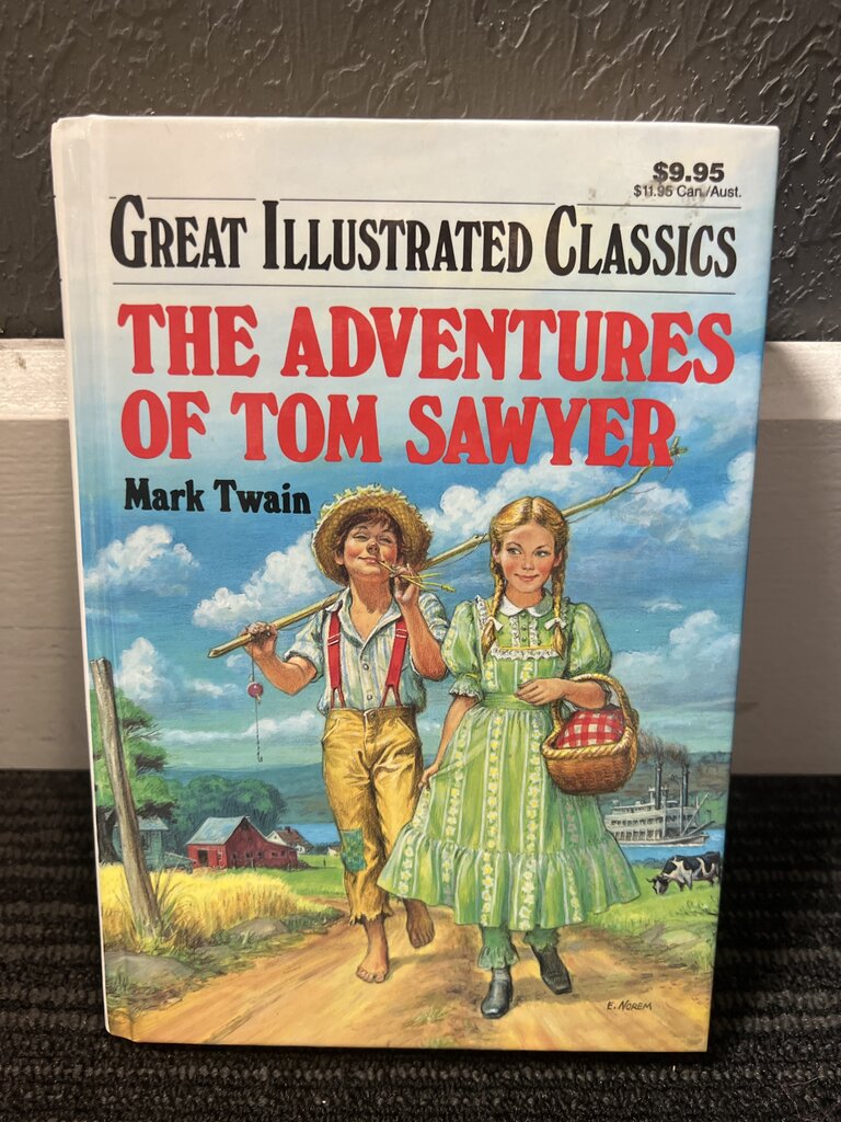 The Adventures of Tom Saywer Book