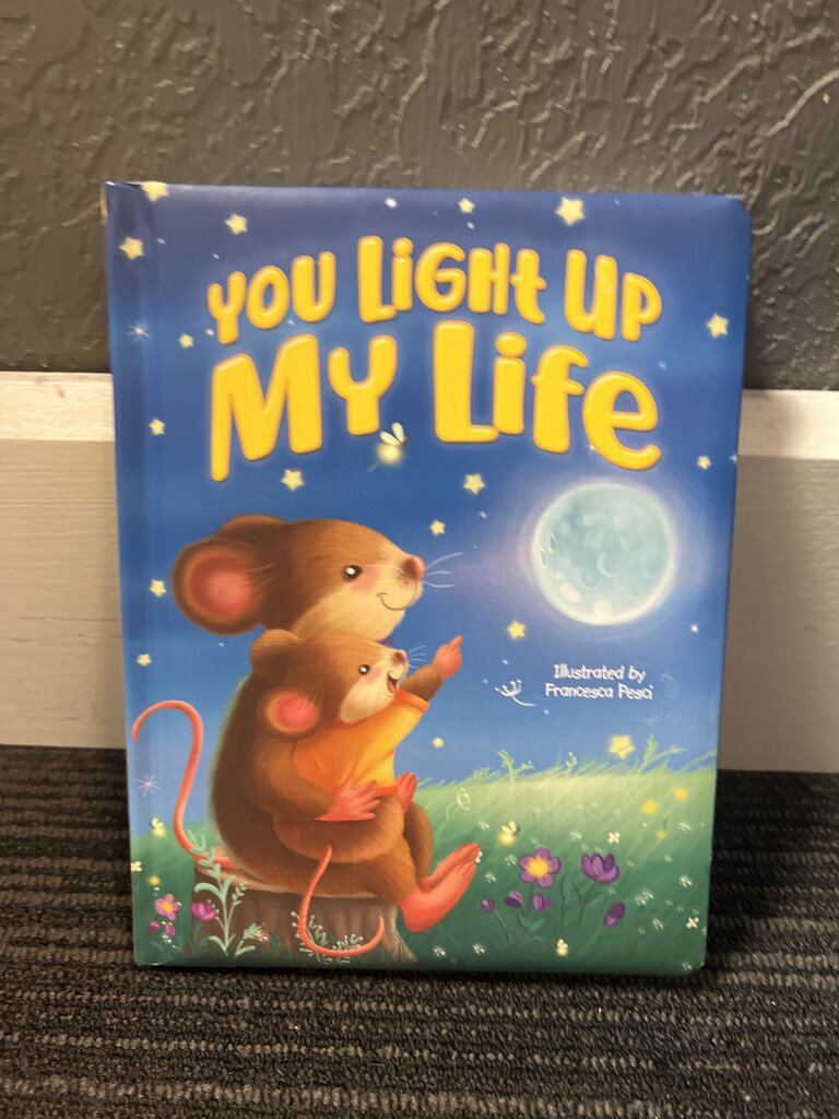 You Light Up My Life Book