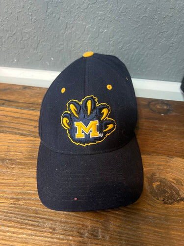 Michigan Baseball Hat