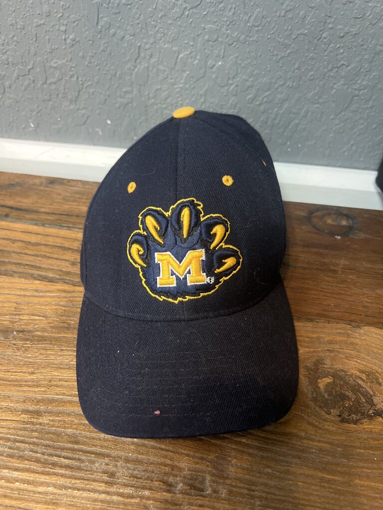 Michigan Baseball Hat