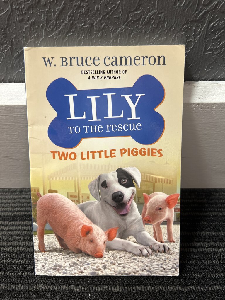 Lily To The Rescue Book