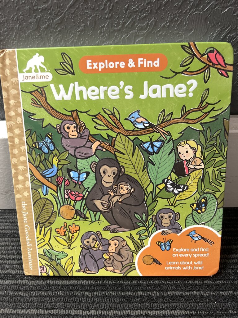 Explore & Find Where's Jane? Book
