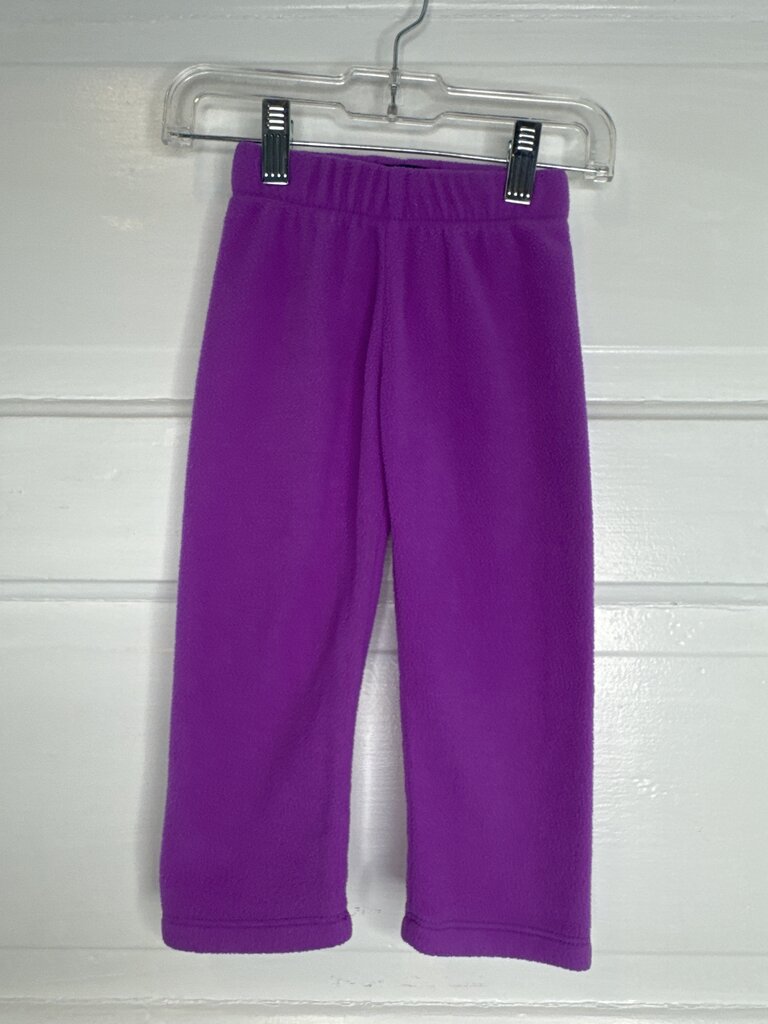 GIrls Pants the children place 2T