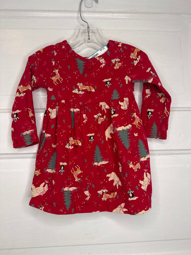 Girls LS Dress wonder nation 18M