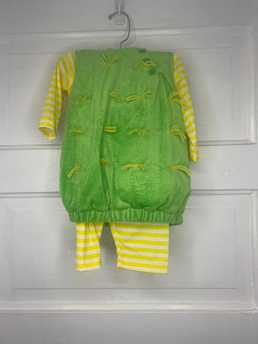 Girls Flower Costume/LS/Leggings 6-12M