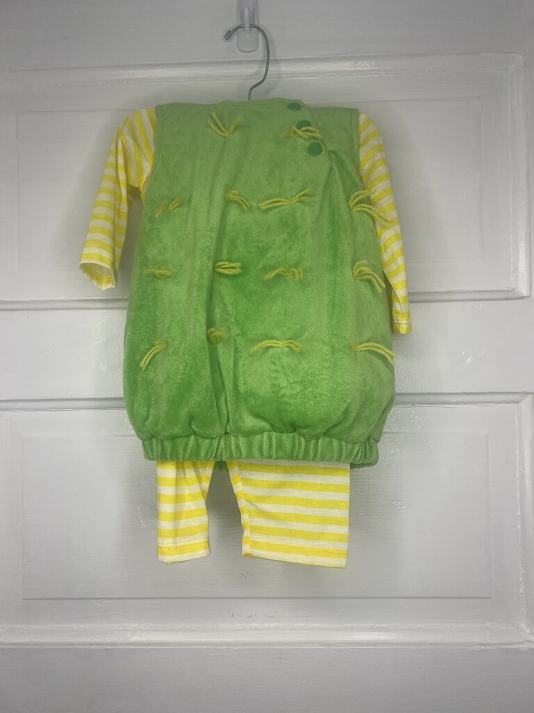 Girls Flower Costume/LS/Leggings 6-12M