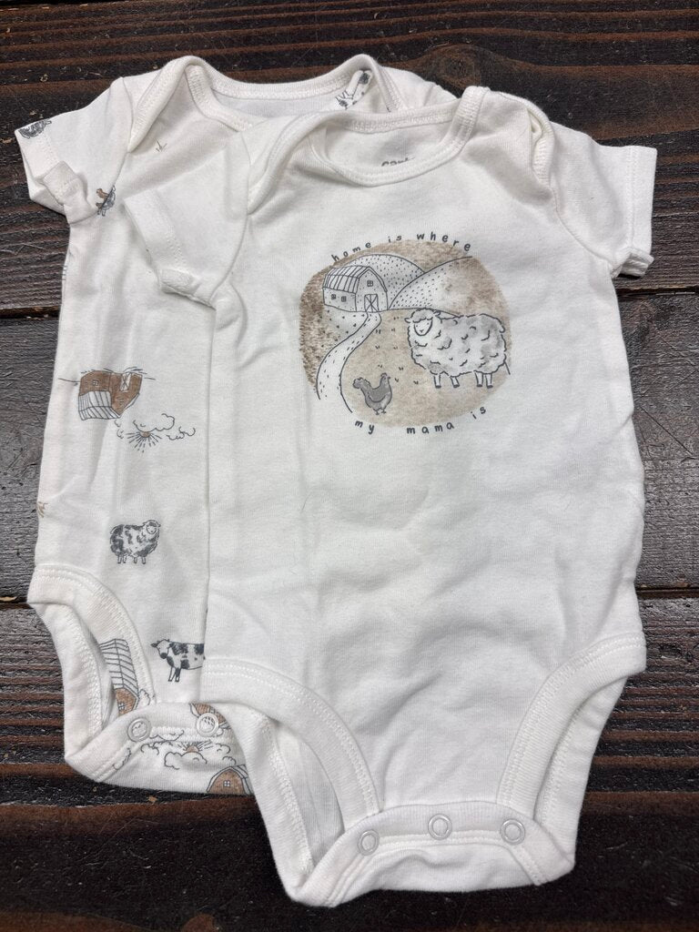 Boys Onesie Set (2pc) Carters 0-3M