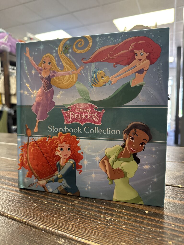 Disney Princess Storybook Collection Book