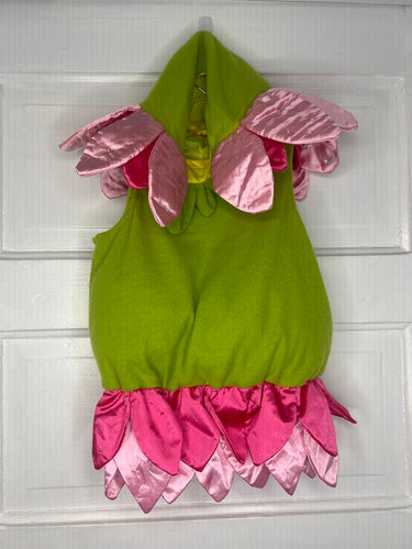 Girls FLower Costume (2pc) 12-24M