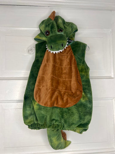 Boys Dino Costume Spirit 12-18M