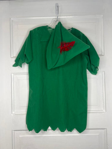 Robin Hood Costume (2pc) YS