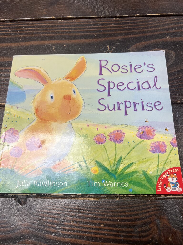 Rosie's Special Surprise Book