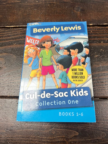 Beverly Lewis Cul-de-Sac Kids Book