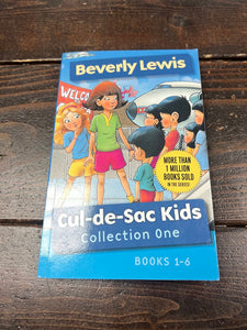 Beverly Lewis Cul-de-Sac Kids Book