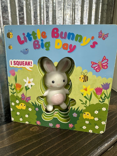 Little Bunny's Big Day Book